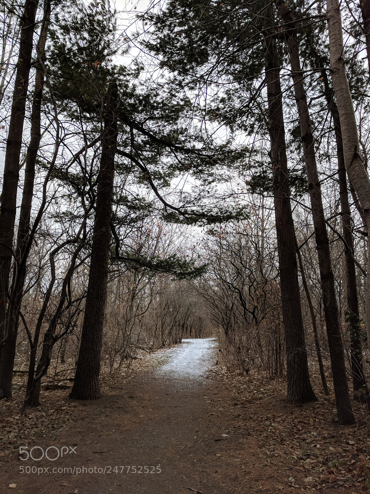 Google Pixel XL sample photo. Untitled photography