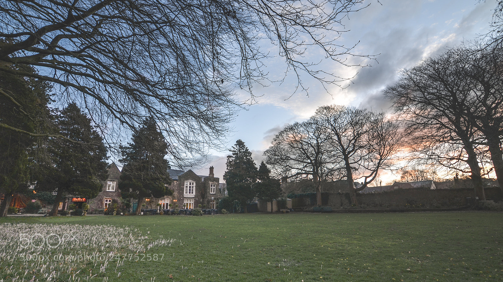 Nikon D5100 sample photo. Caerleon-wales photography