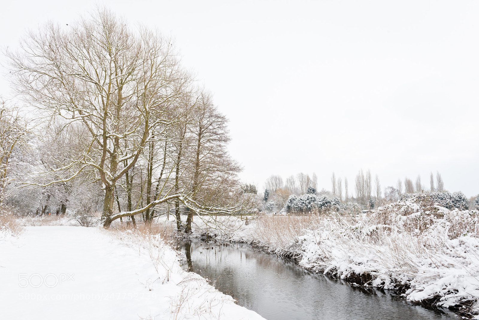 Nikon D810 sample photo. Rattlesden river, stowmarket suffolk photography