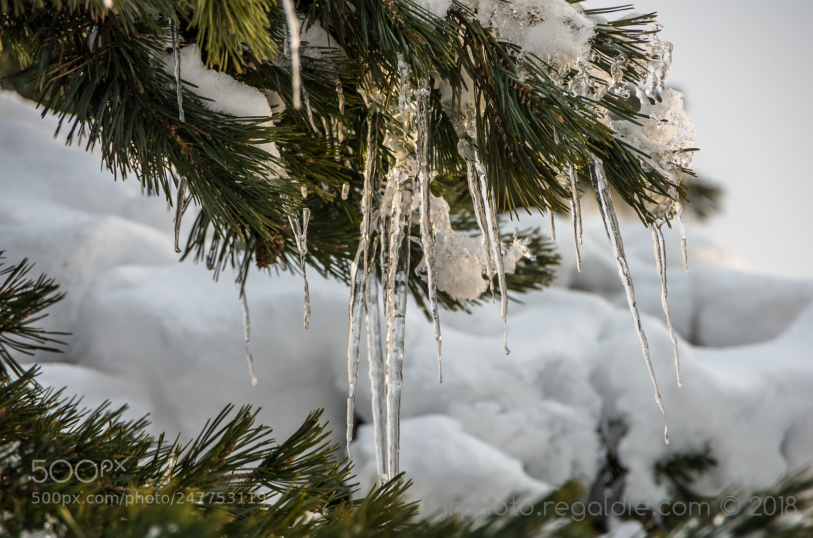 Pentax K-5 sample photo. Hanging ice photography