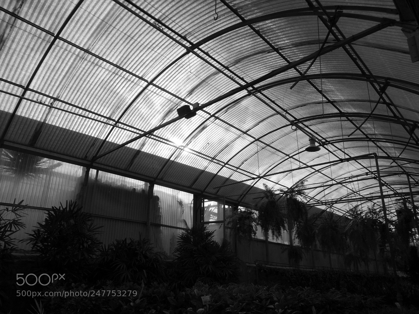 Sony Cyber-shot DSC-HX300 sample photo. Greenhouse photography