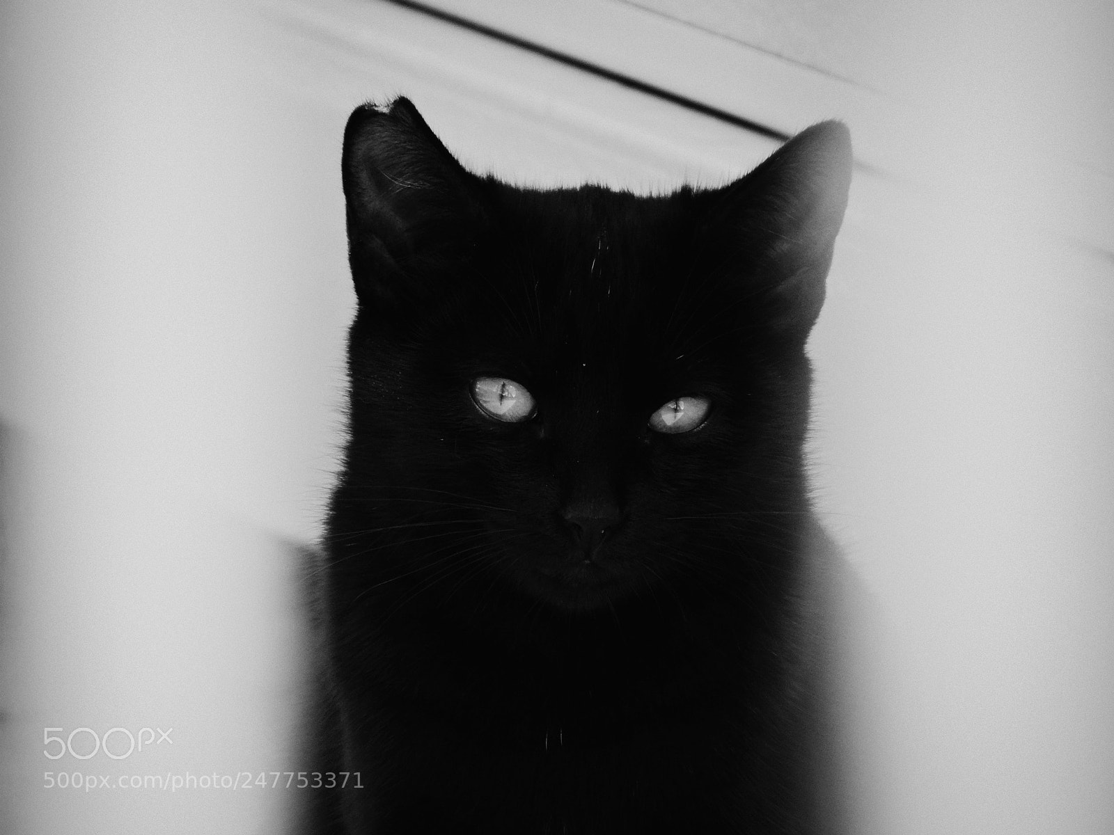 Sony Cyber-shot DSC-HX300 sample photo. Eyes photography