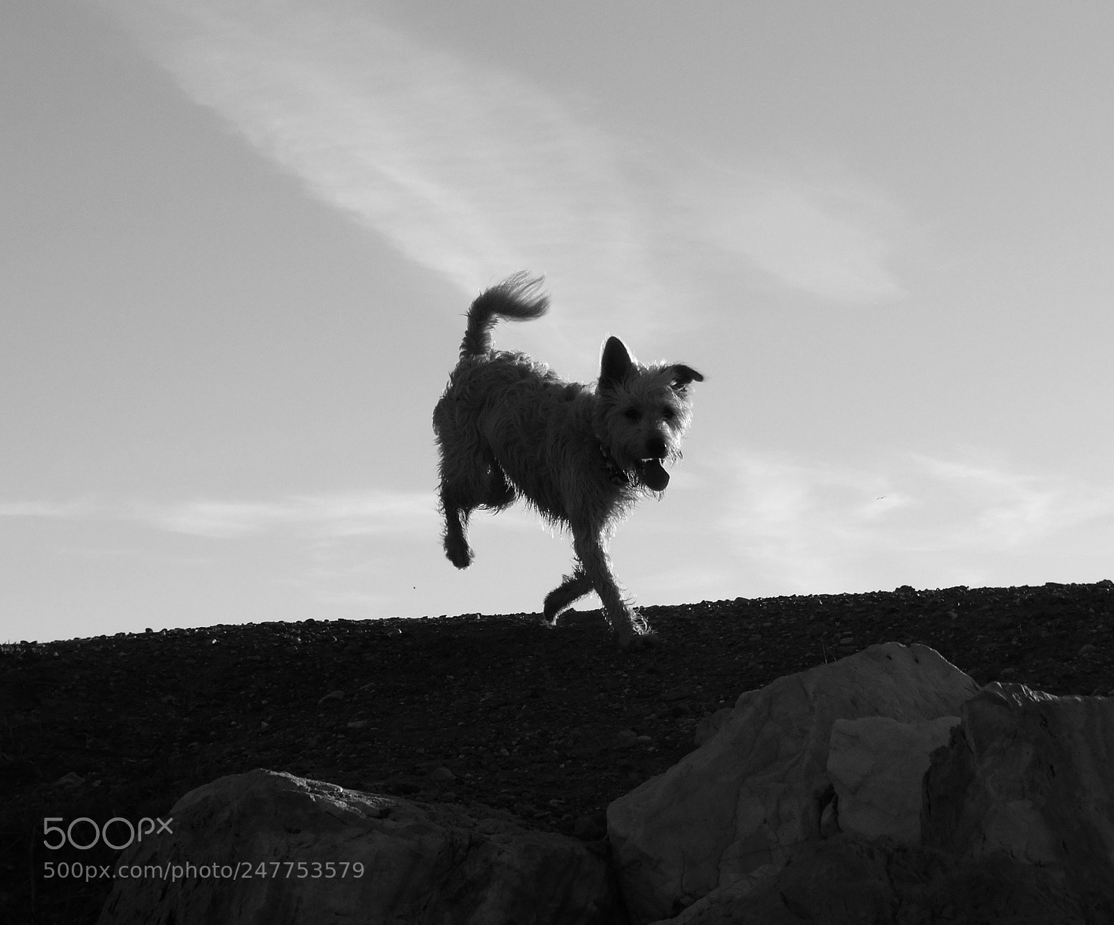 Sony Cyber-shot DSC-HX300 sample photo. Jumping photography