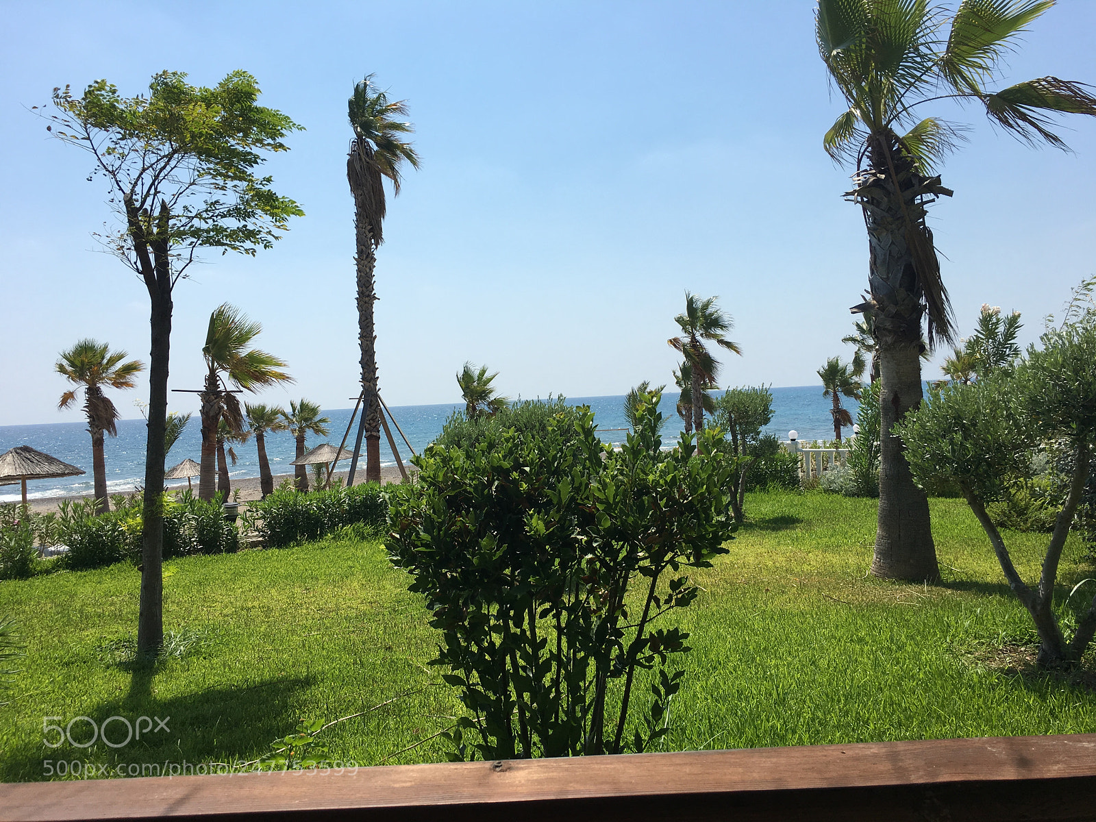 Apple iPhone 6s Plus sample photo. Turkey paradise photography