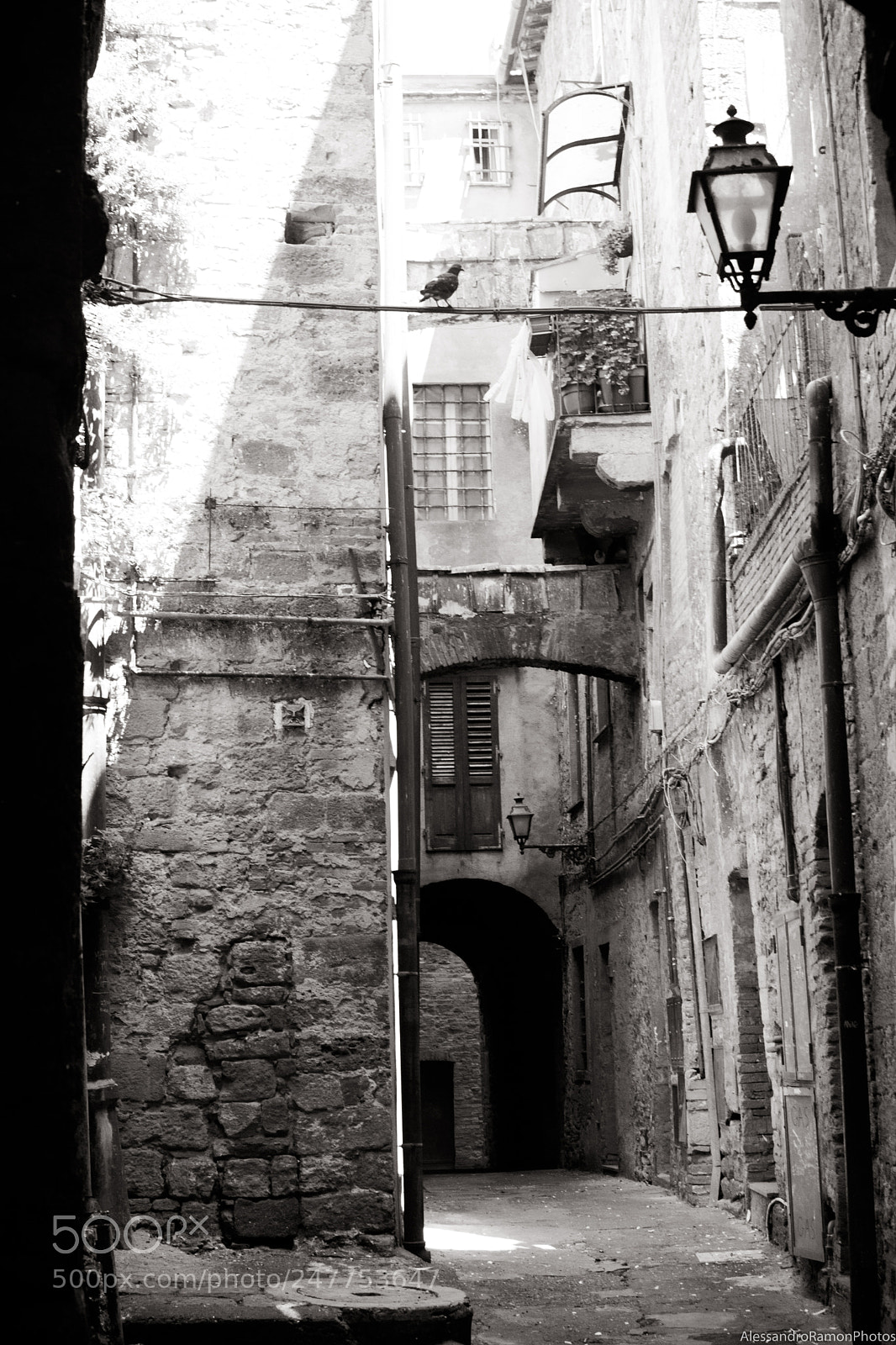 Nikon D5500 sample photo. Pigeon's alley photography