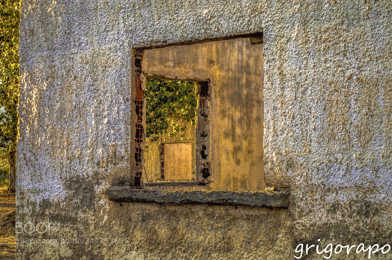 Nikon D3200 sample photo. A window in a photography