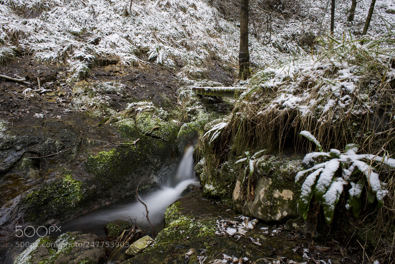 Nikon D610 sample photo. Simply nature photography