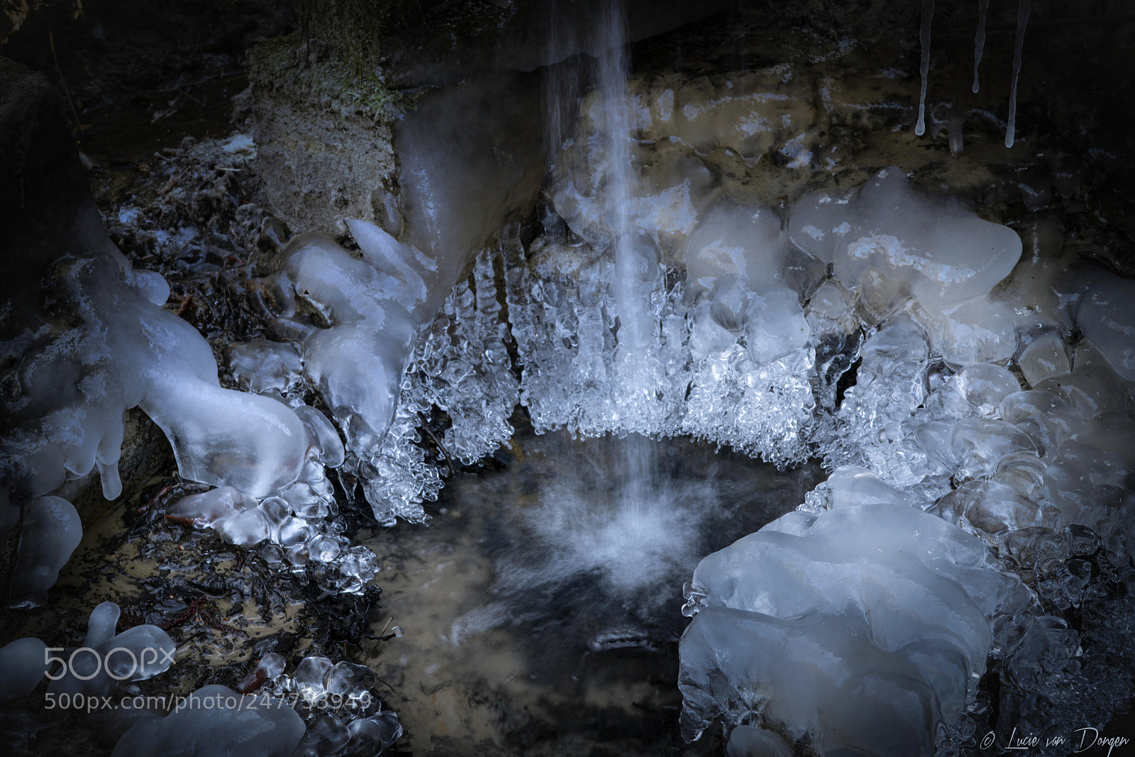 Sony a7R II sample photo. Frozen water photography