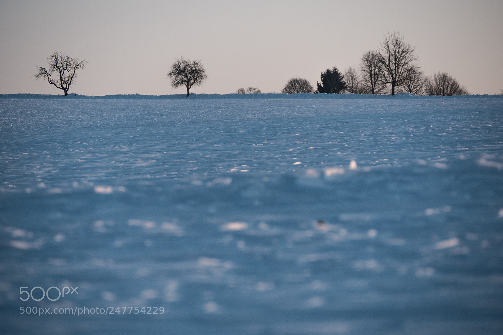 Panasonic DMC-G70 sample photo. Dawn in winter photography