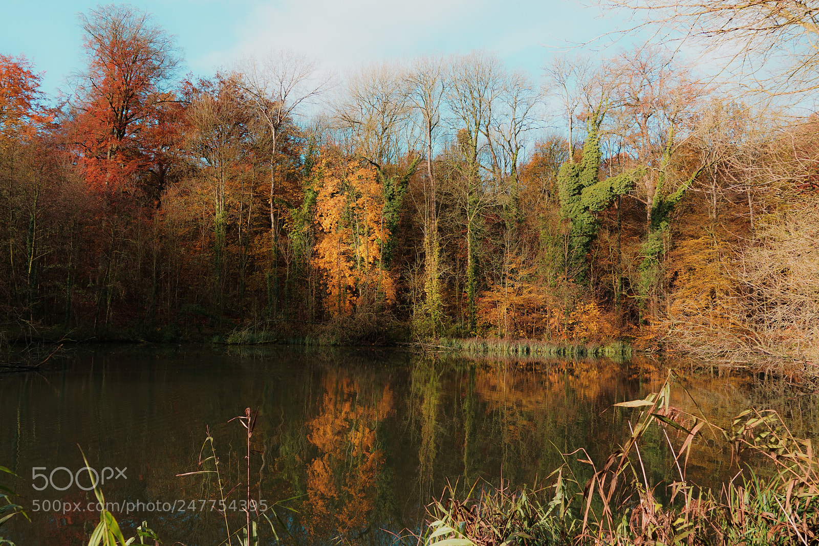 Sony a7R II sample photo. Autumn scenery photography