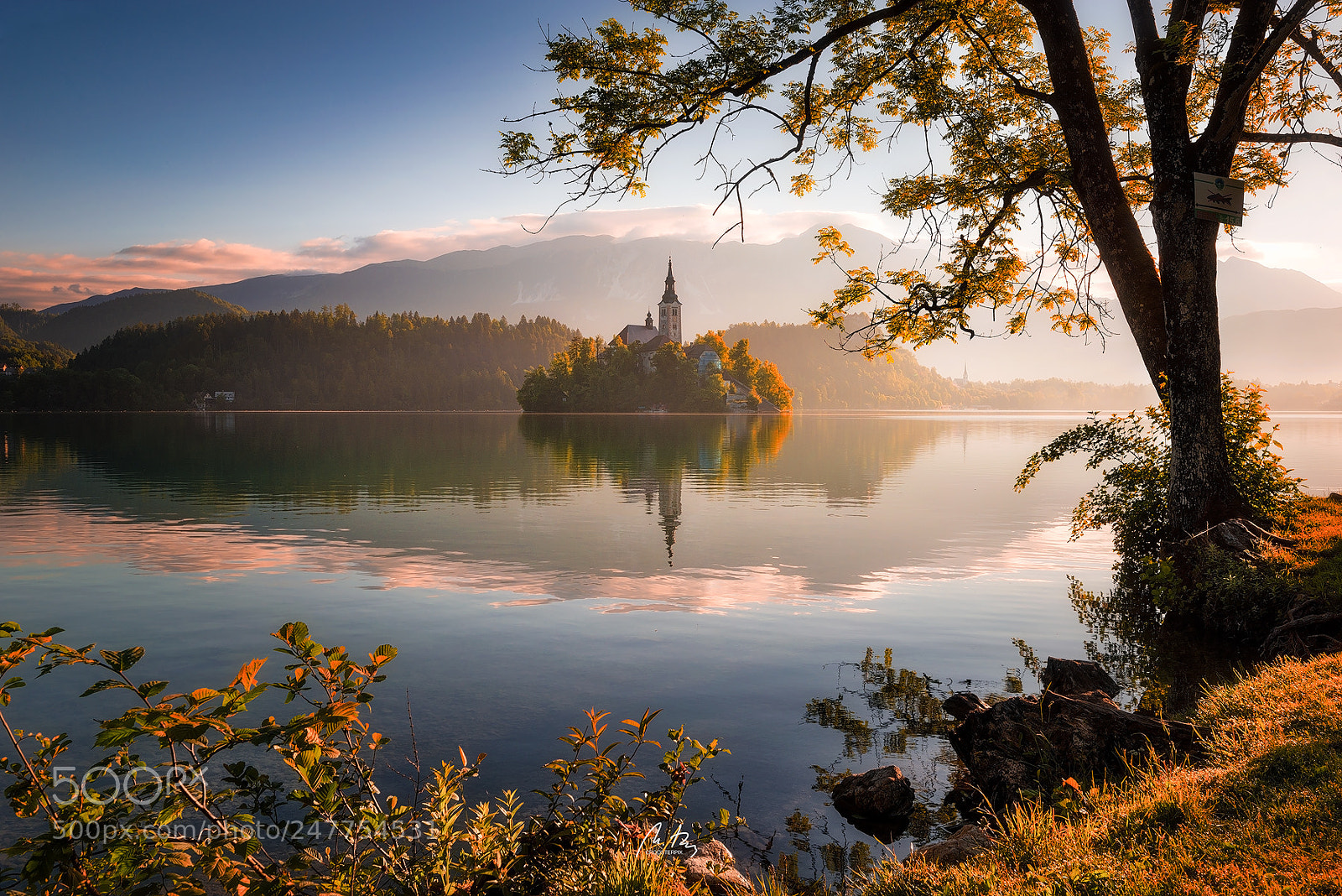 Nikon D610 sample photo. Bled, slovenia - fighting photography