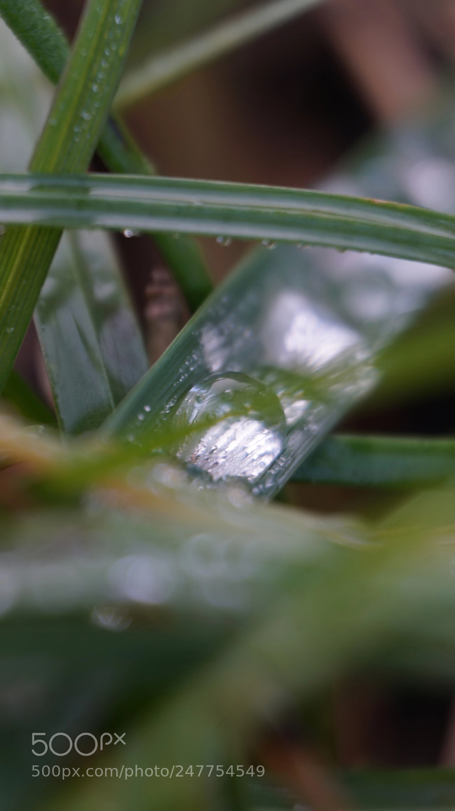 Sony Alpha a5000 (ILCE 5000) sample photo. Untitled photography