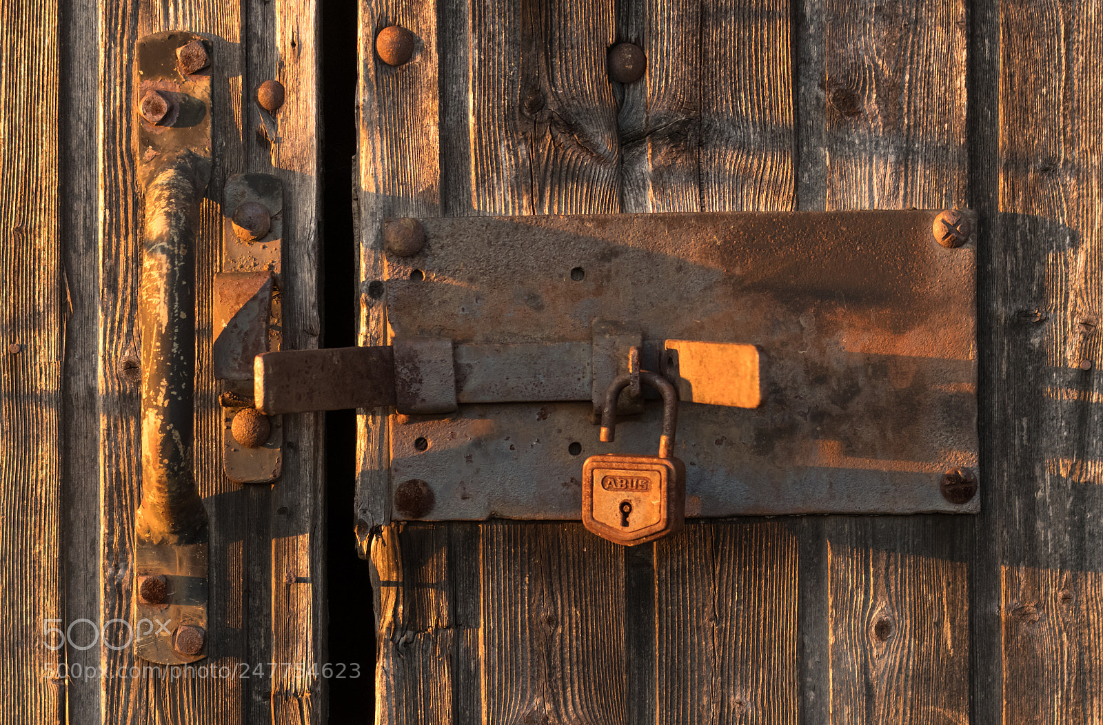Nikon D500 sample photo. Welcome - its open photography