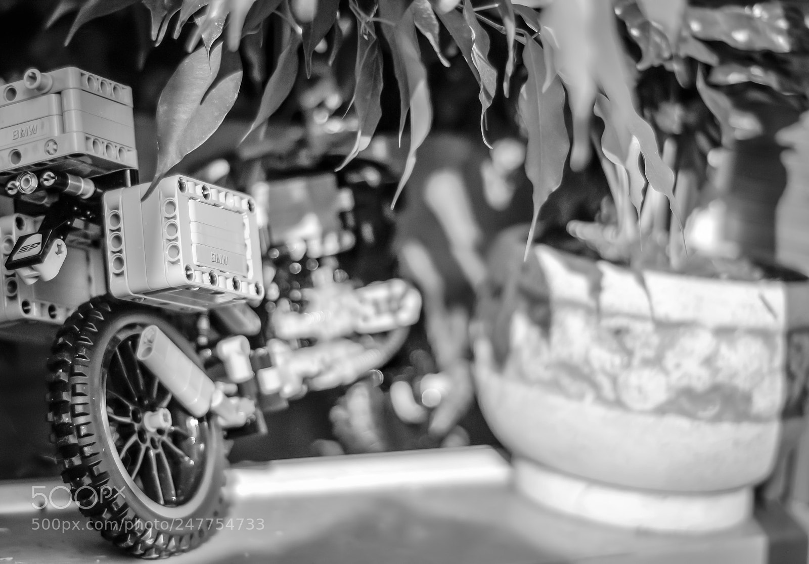 Nikon D300 sample photo. Tsv photography
