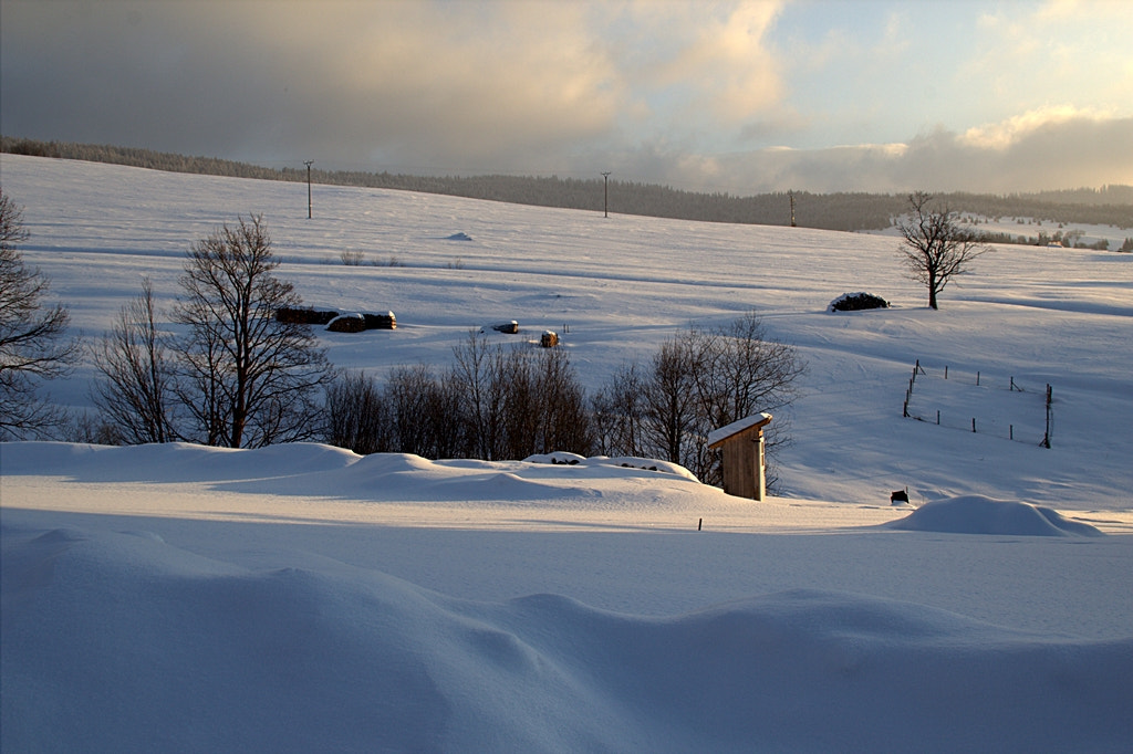 Canon EOS 600D (Rebel EOS T3i / EOS Kiss X5) sample photo. Frozen morning photography