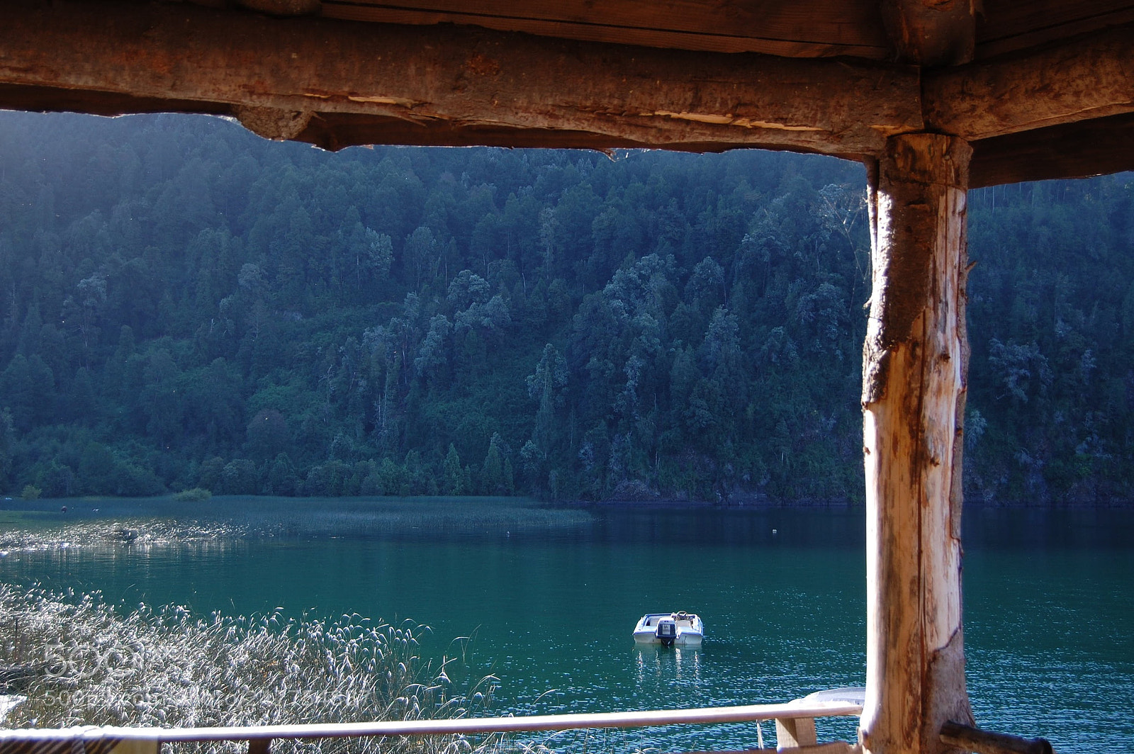 Nikon D40 sample photo. In the lake photography