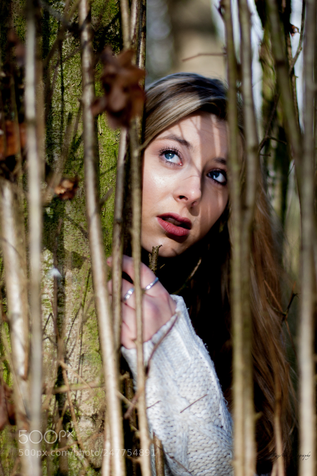 Nikon D40 sample photo. Desi & forest shoot photography