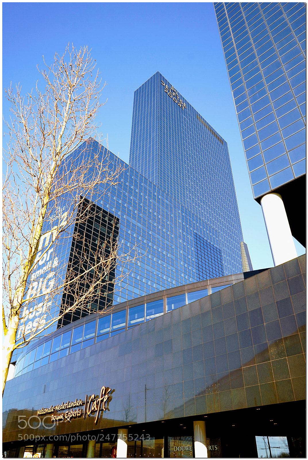 Sony a7 sample photo. Rotterdam, the netherlands. photography
