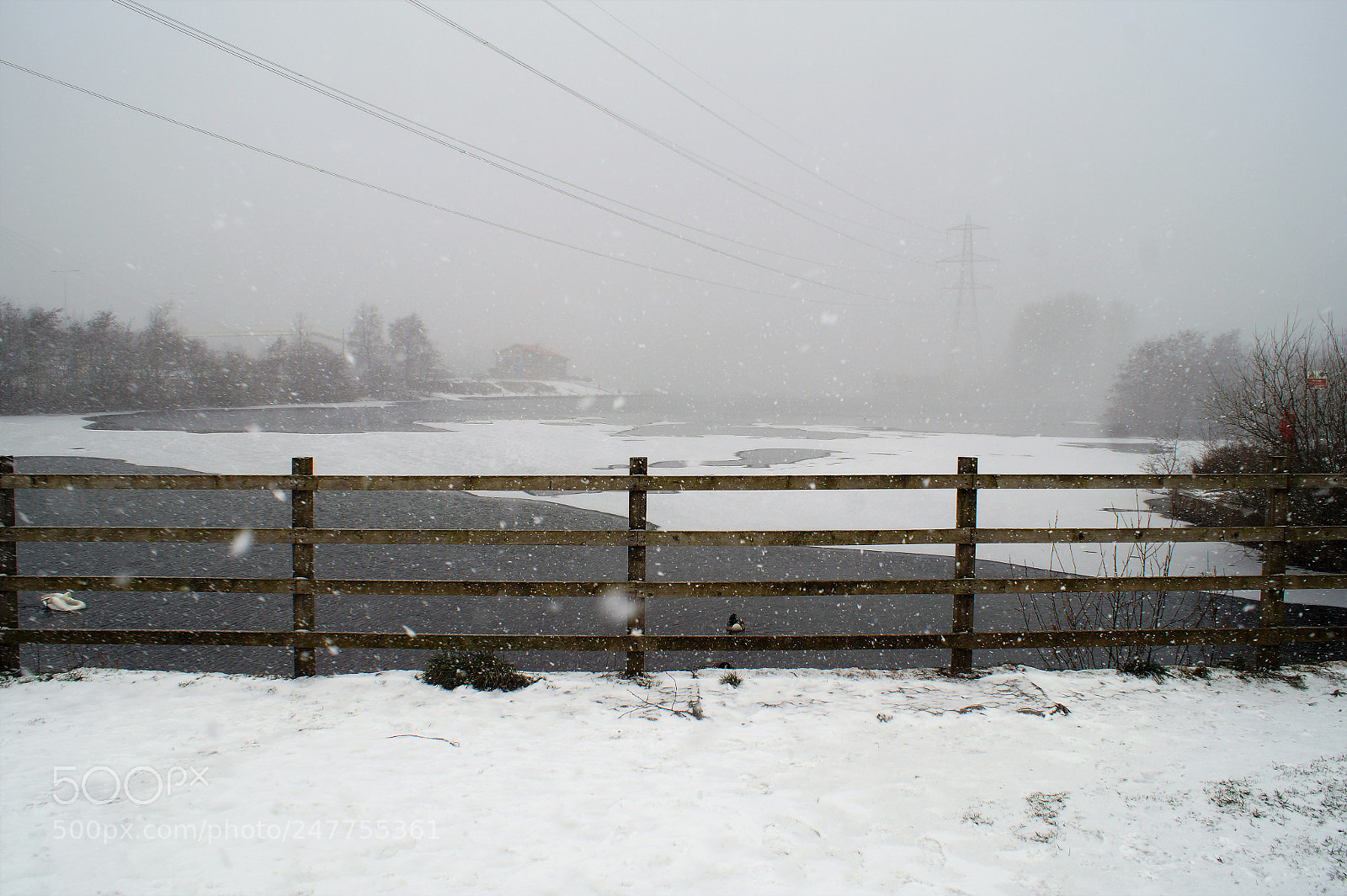 Sony DT 18-70mm F3.5-5.6 sample photo. Snow fence. photography