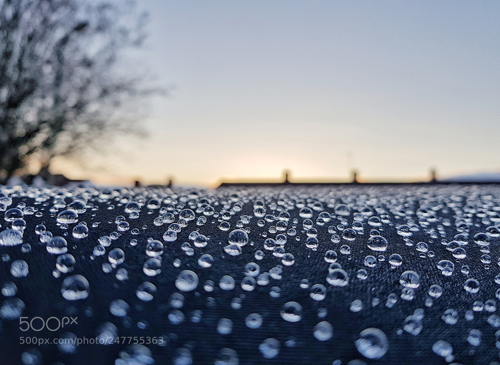Samsung Galaxy S8+ sample photo. Icy balls! photography