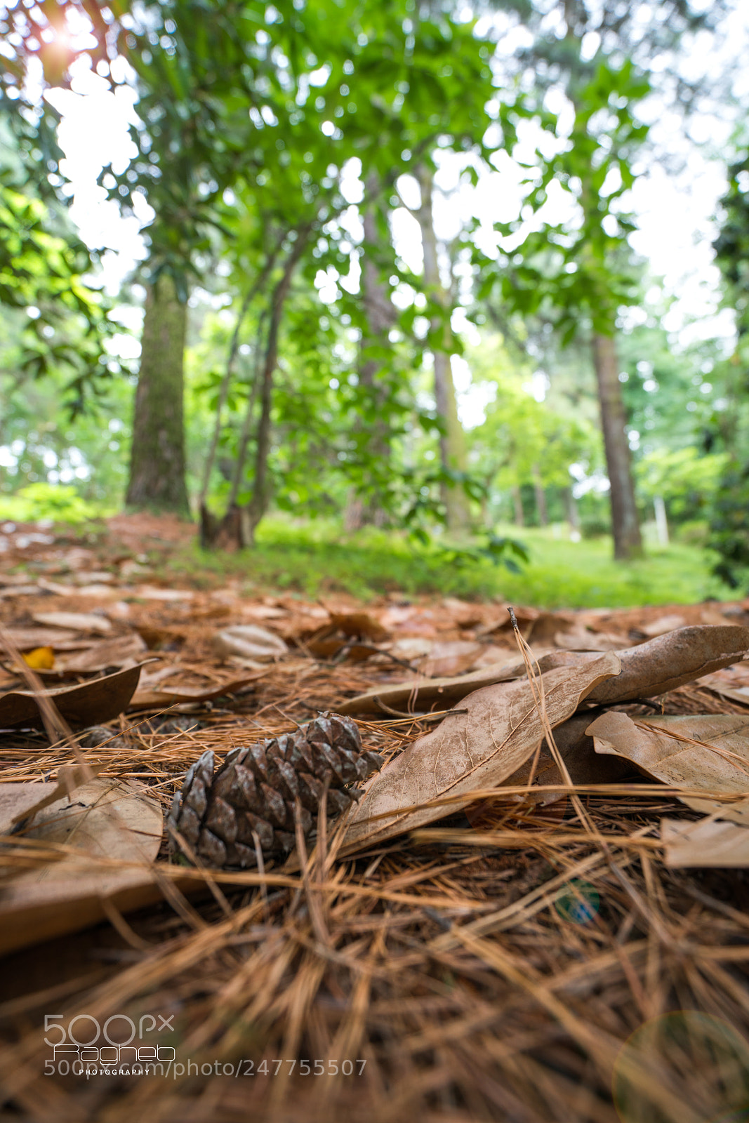 Sony a7R II sample photo. Travel photography