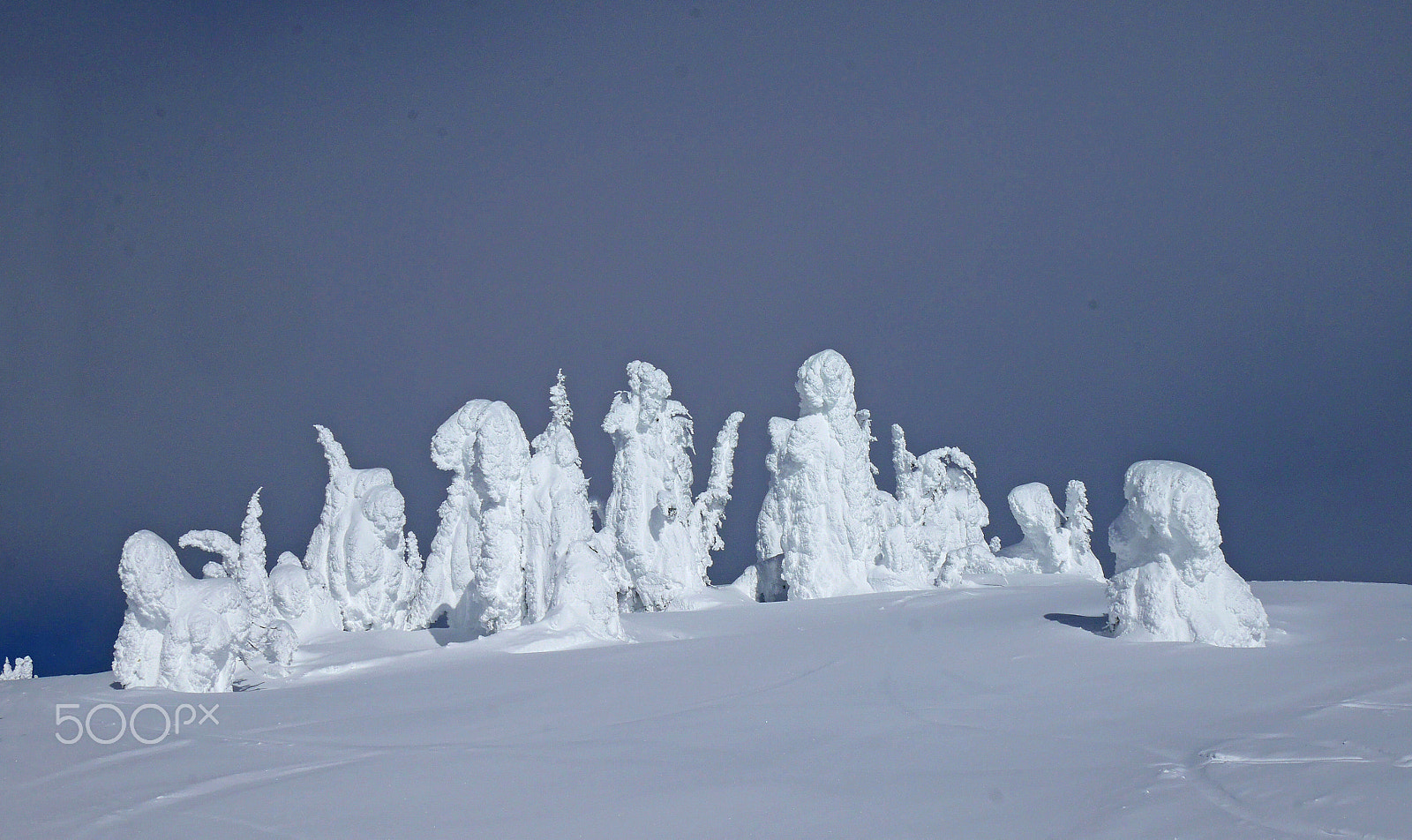 Panasonic Lumix DMC-GM5 sample photo. Snow ghosts photography