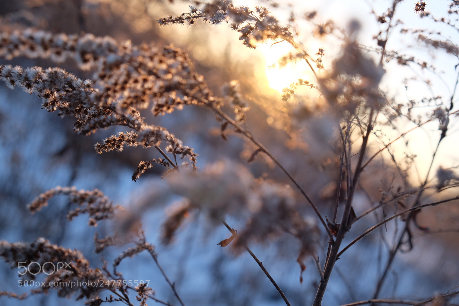 Fujifilm X-T10 sample photo. Untitled photography