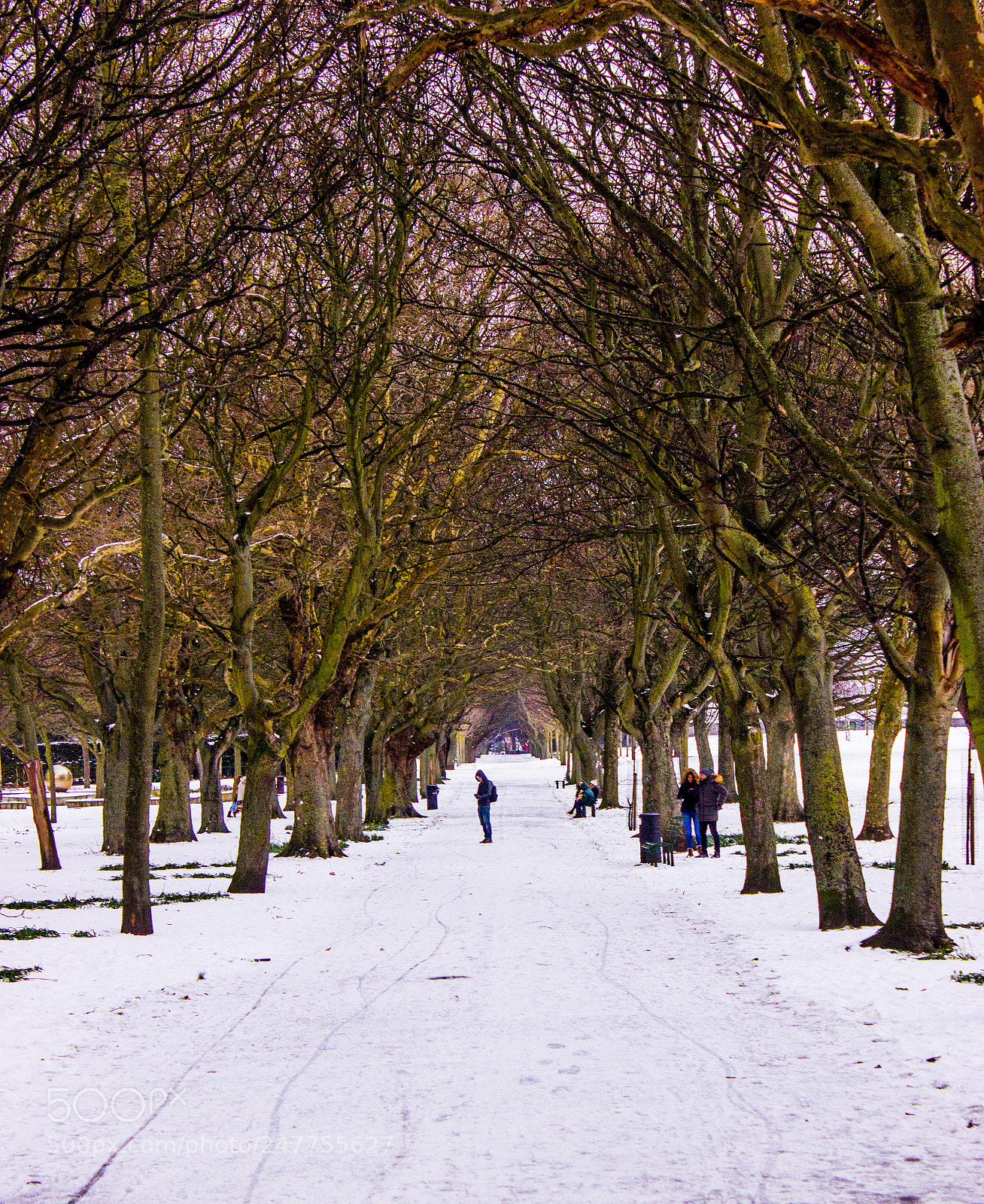 Canon EOS 600D (Rebel EOS T3i / EOS Kiss X5) sample photo. Ice walkway photography