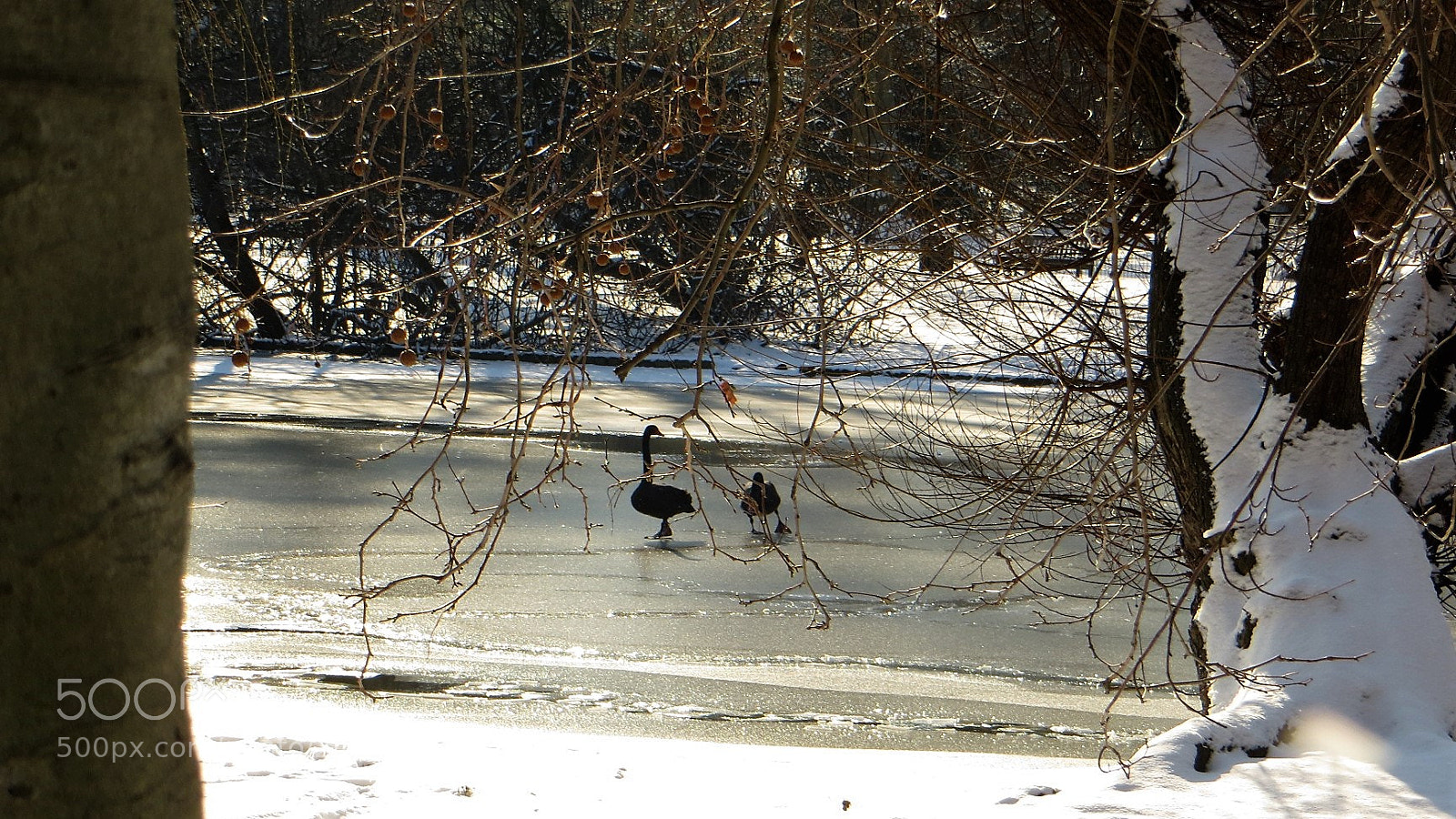 Canon PowerShot SX240 HS sample photo. Careful my friend we're photography