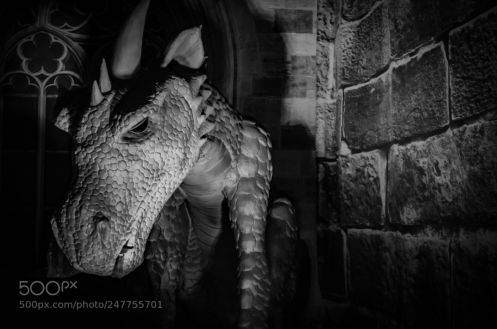 Nikon D5100 sample photo. Dragonland bw photography