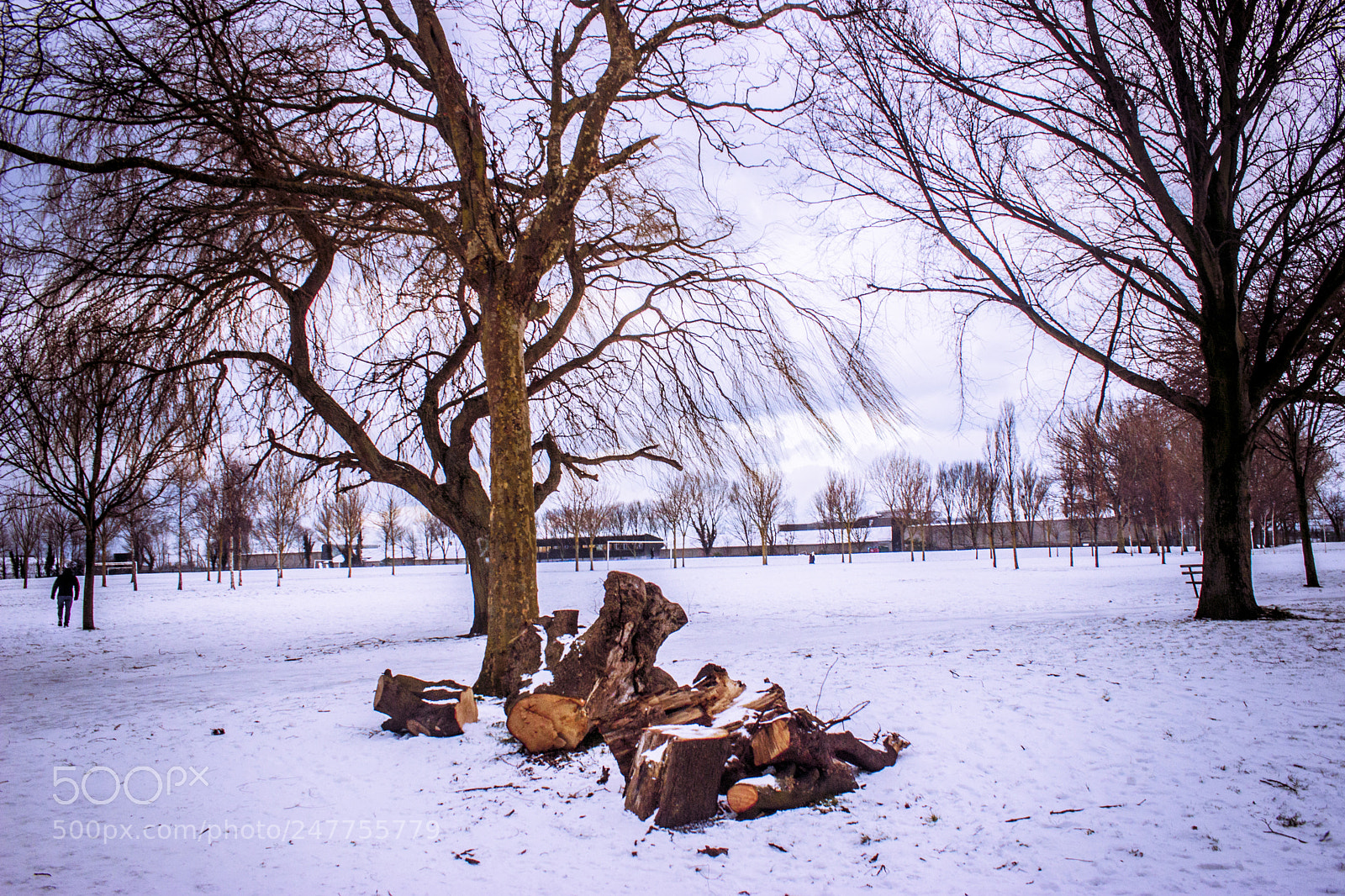 Canon EOS 600D (Rebel EOS T3i / EOS Kiss X5) sample photo. Left logs photography