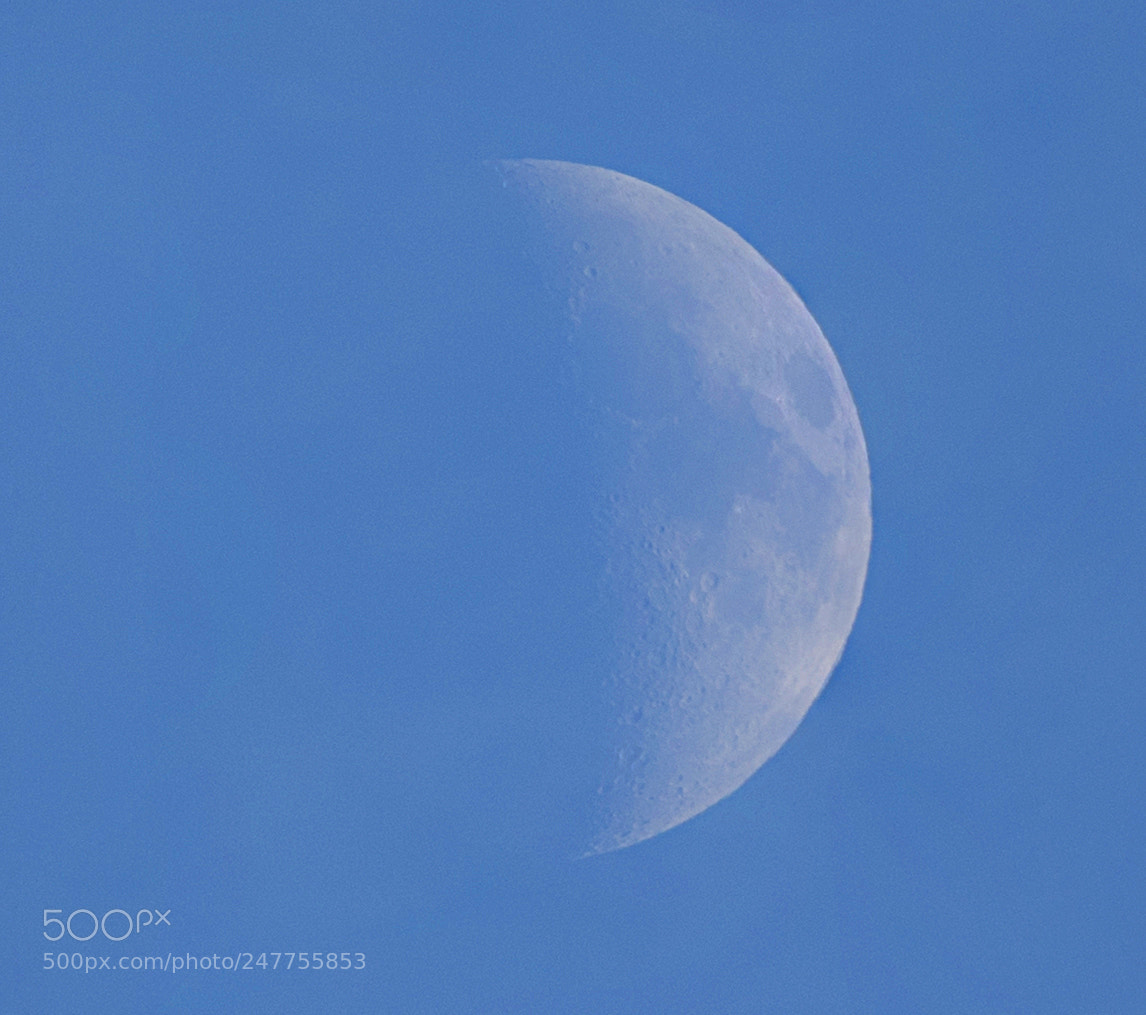 Nikon D5500 sample photo. Daymoon photography