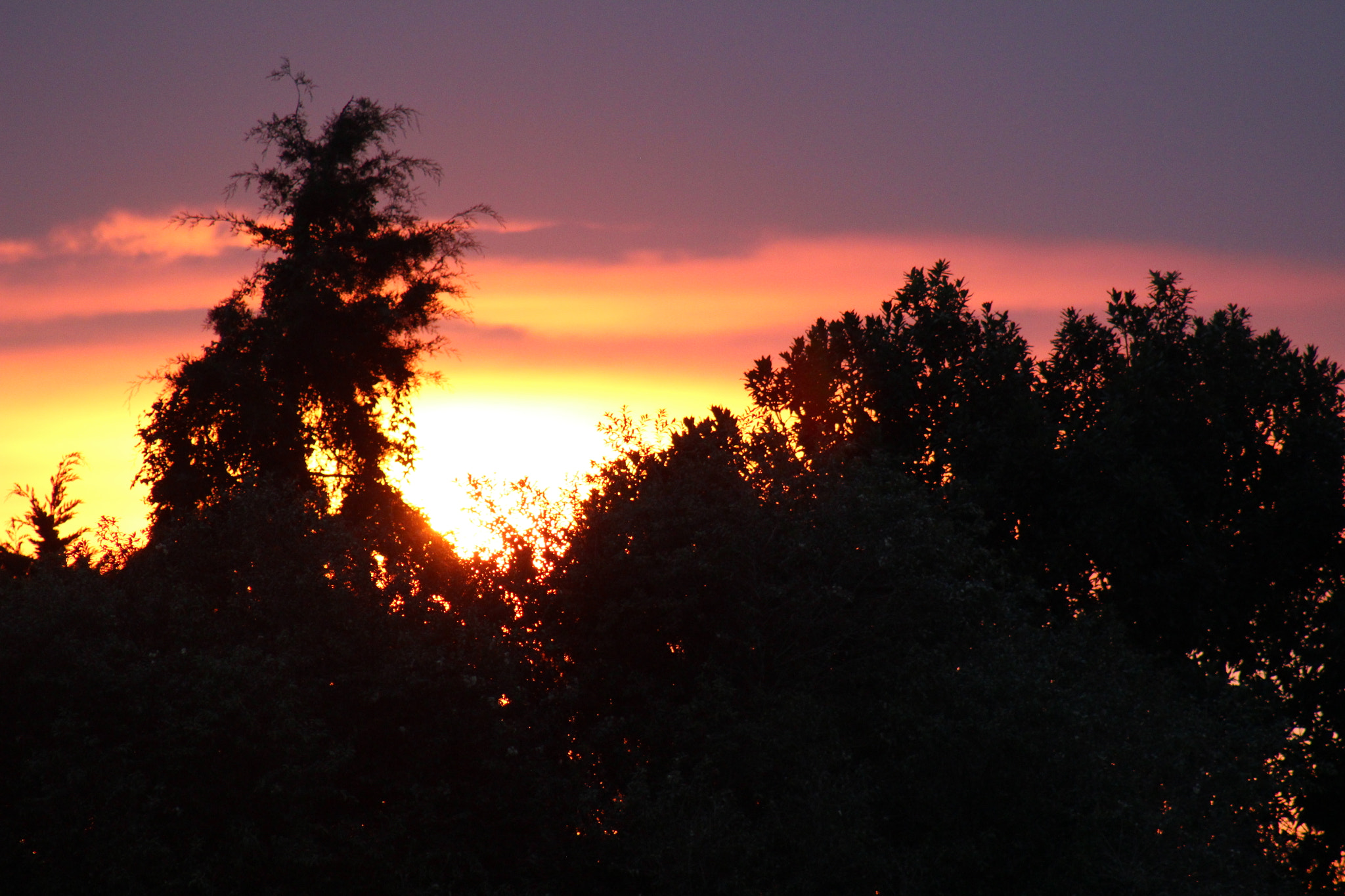 Canon EF 75-300mm f/4-5.6 sample photo. Atardecer en suba photography