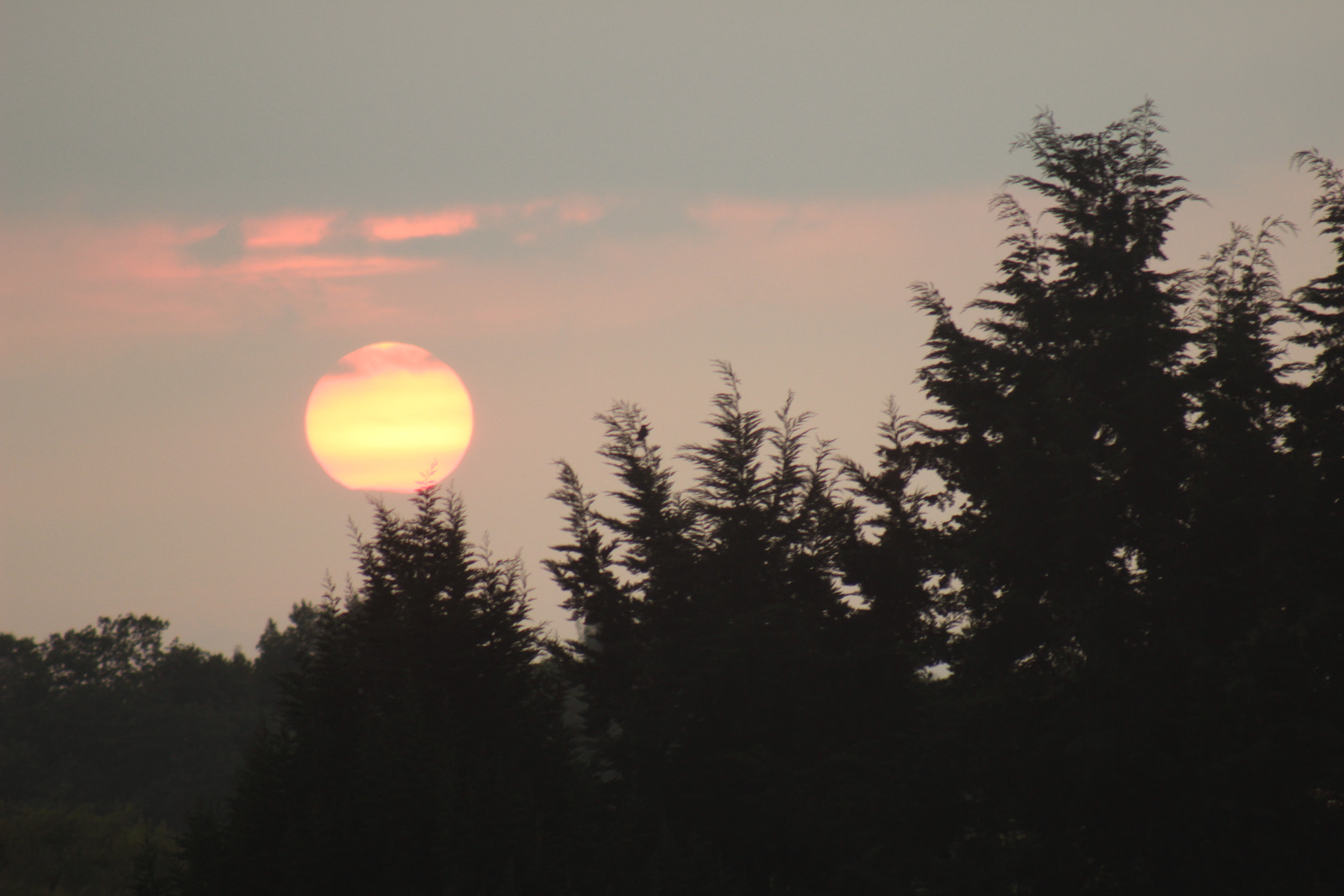 Canon EF 75-300mm f/4-5.6 sample photo. Atardecer en suba photography
