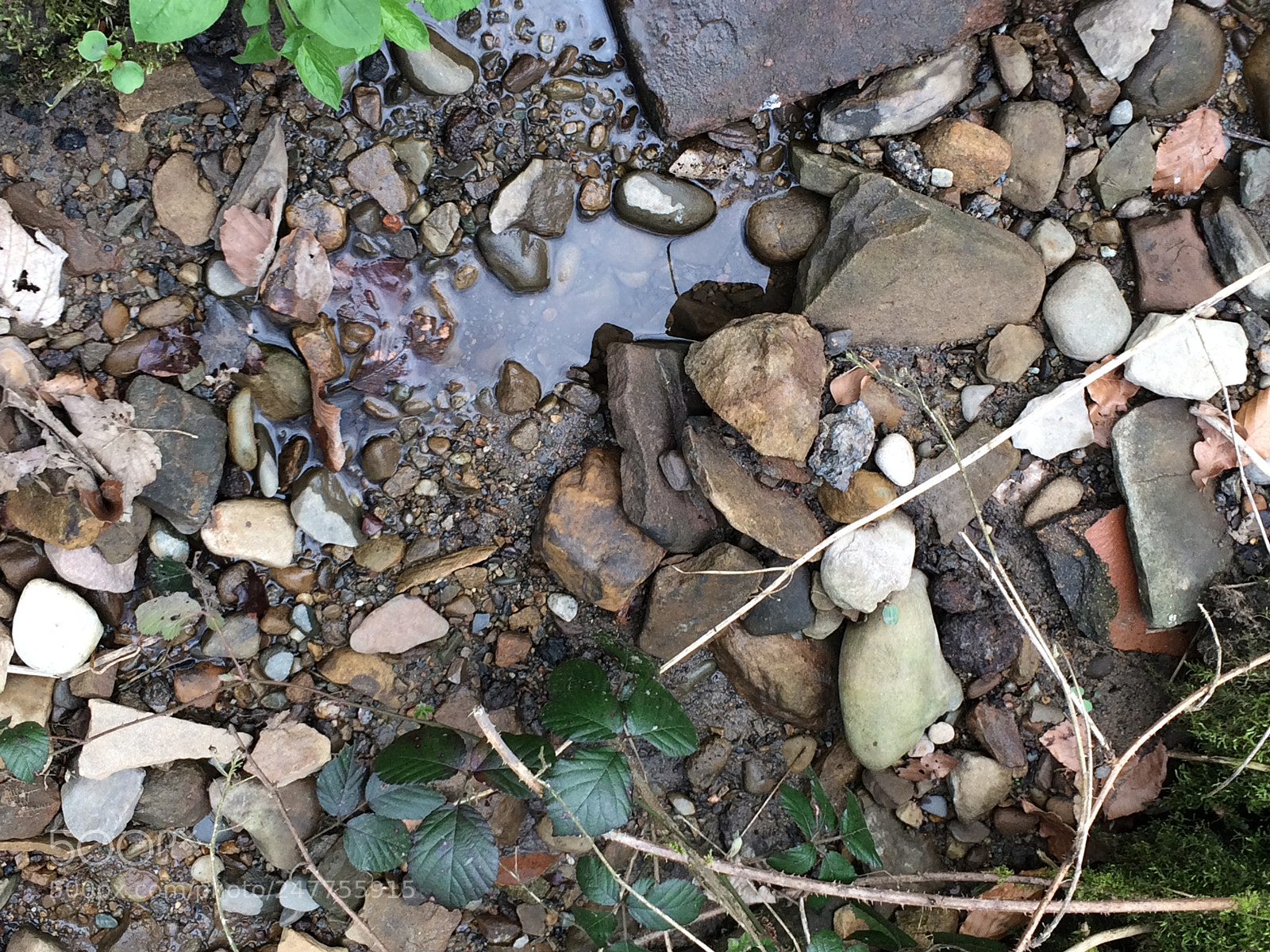 Apple iPhone 5s sample photo. Just a bunch of photography
