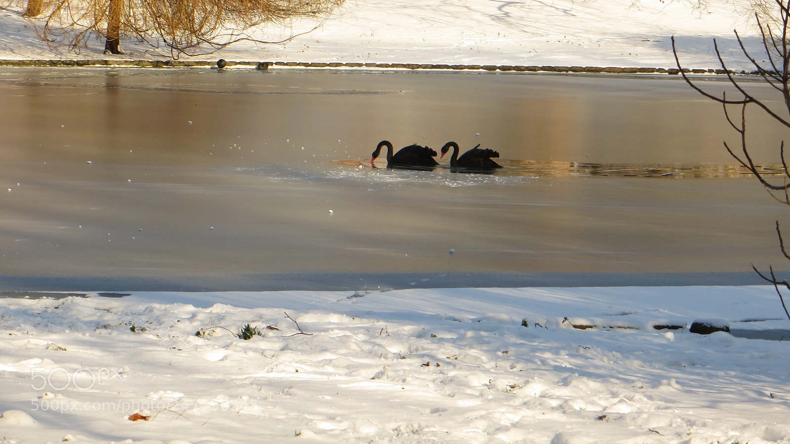 Canon PowerShot SX240 HS sample photo. Breaking the ice photography