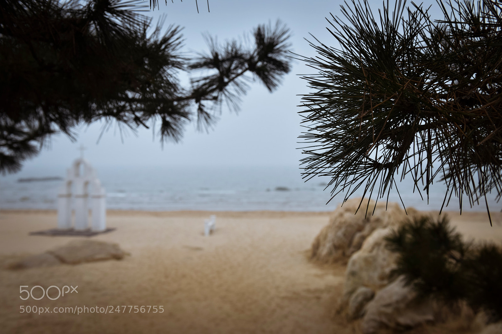 Nikon D810 sample photo. 海岸 photography