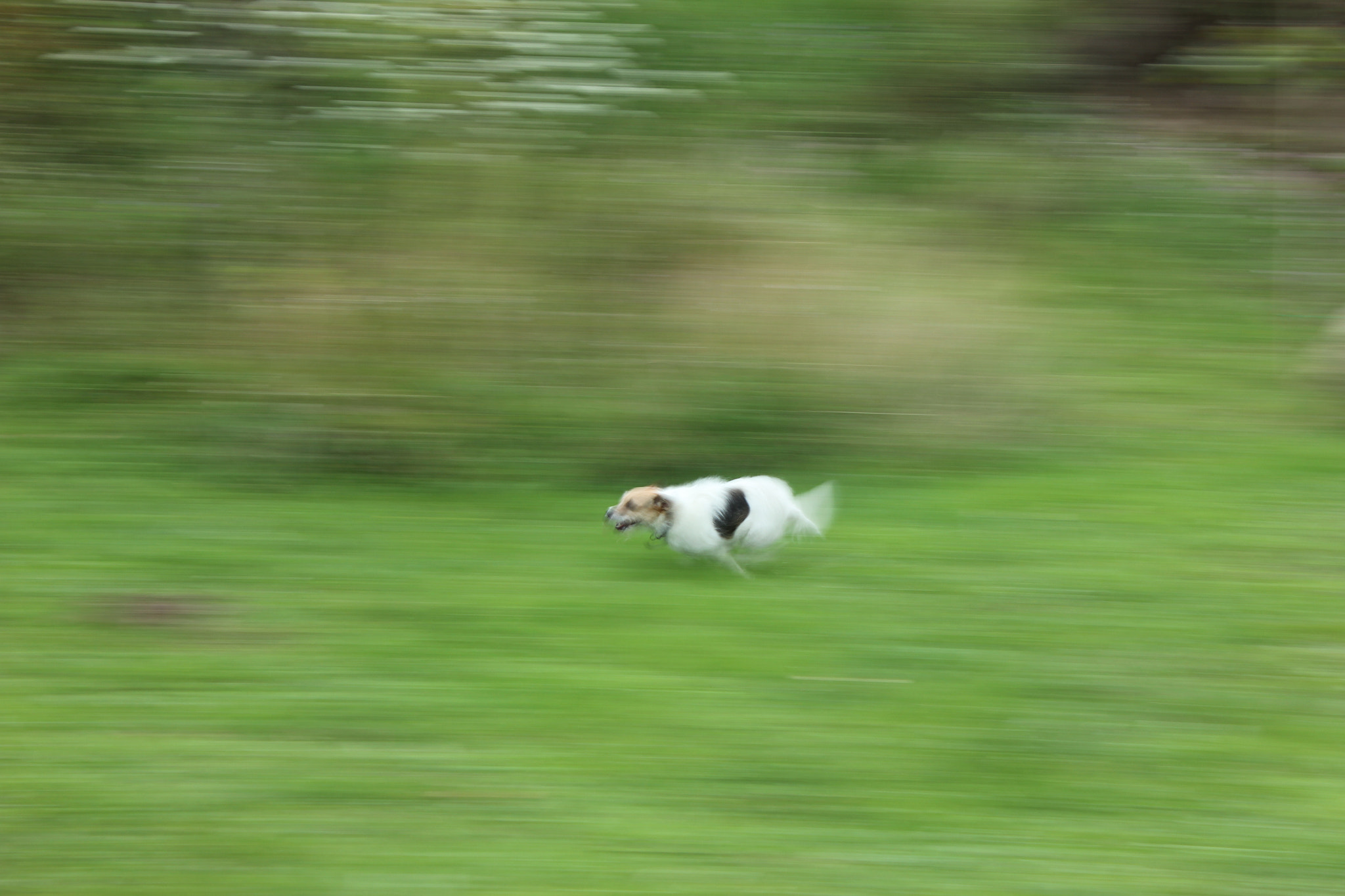 Canon EOS 550D (EOS Rebel T2i / EOS Kiss X4) sample photo. Img photography