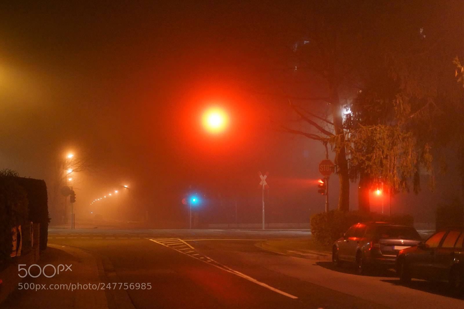 Sony a7 II sample photo. Road crossing at night photography