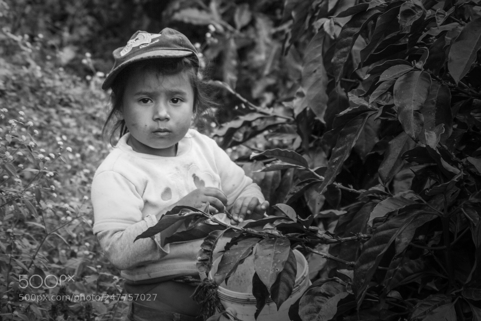 Canon EOS 7D sample photo. Litte coffee farmer photography
