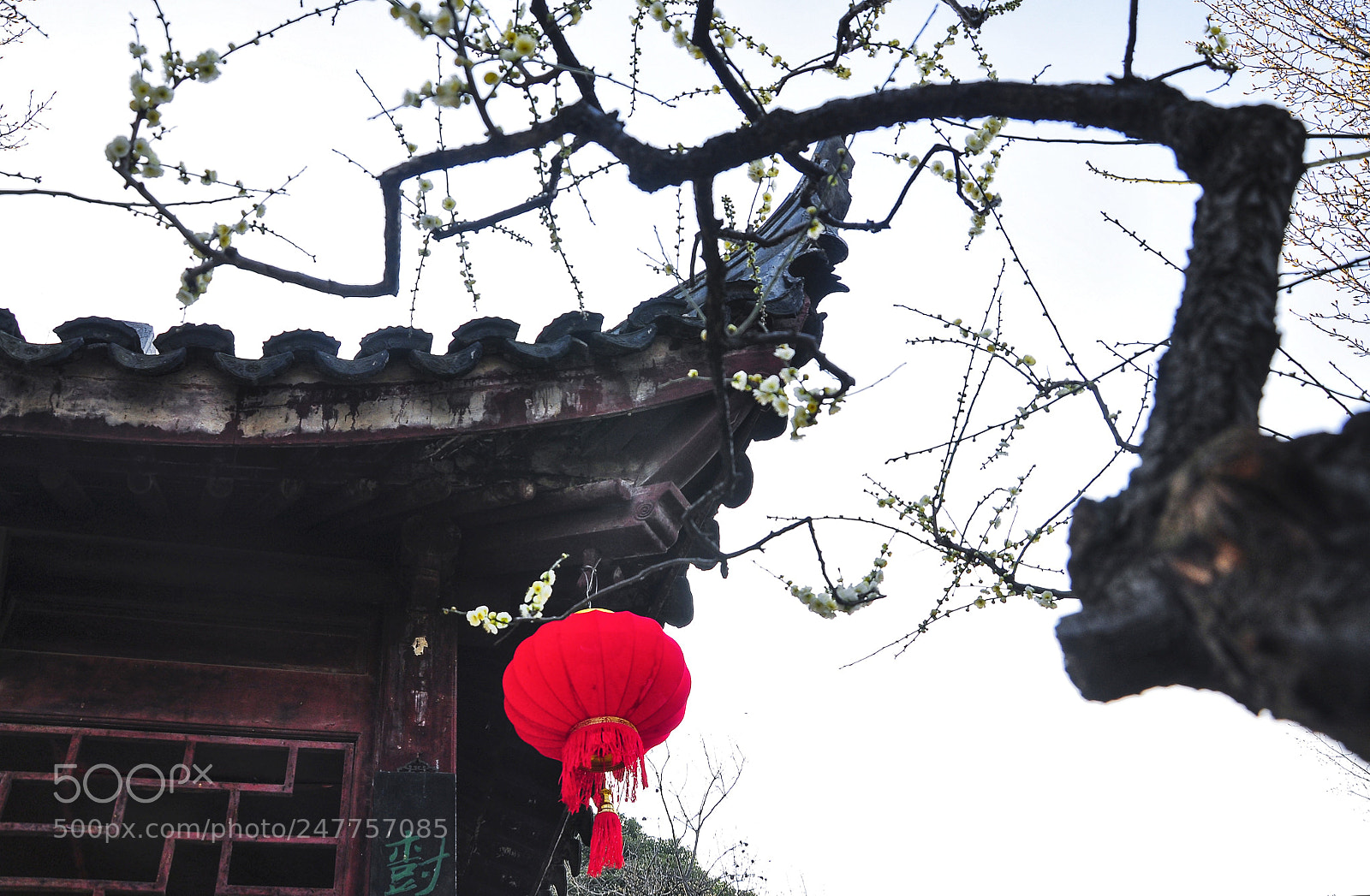 Nikon D90 sample photo. 梅与亭 photography