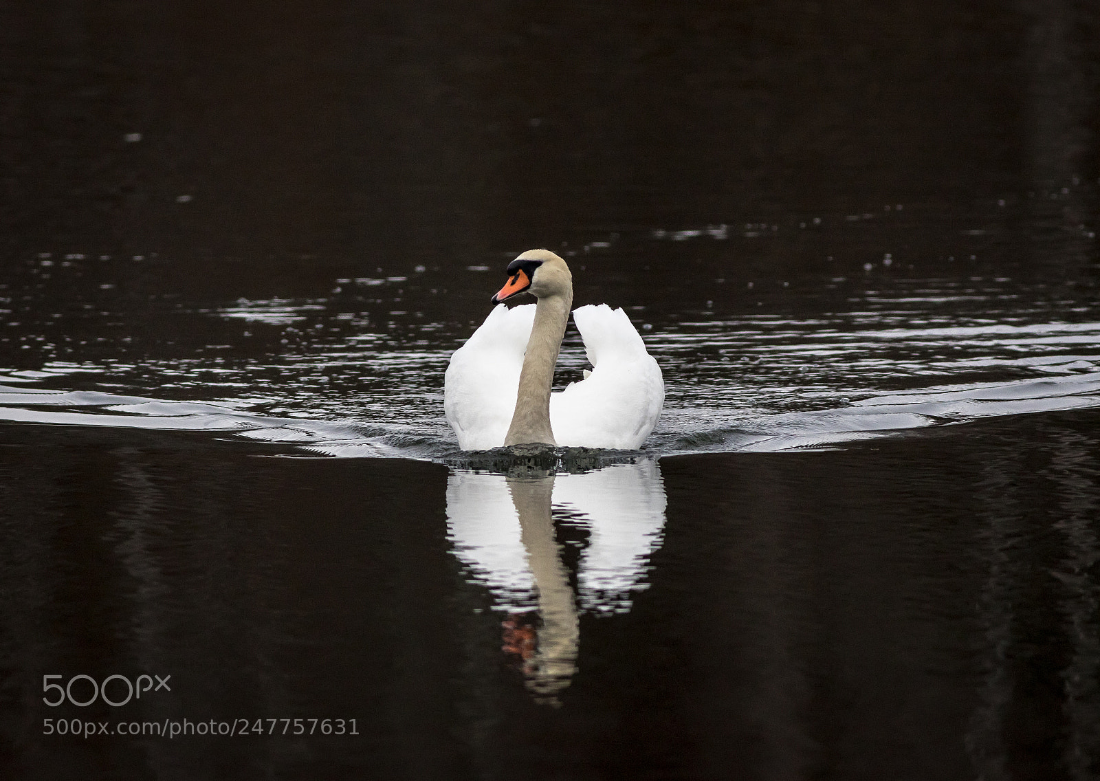 Canon EOS 7D Mark II sample photo. 005-5366.jpg photography