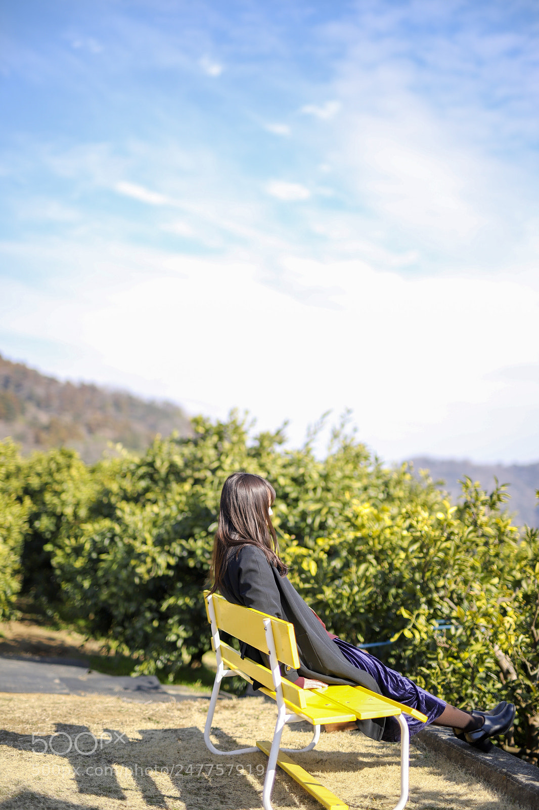 Canon EOS 6D Mark II sample photo. Mandarin orange fields and photography