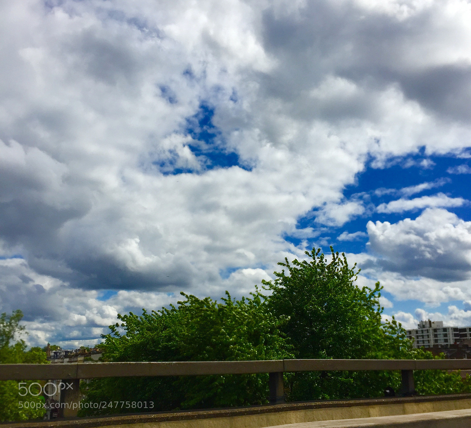 Apple iPhone 6 sample photo. Untitled photography