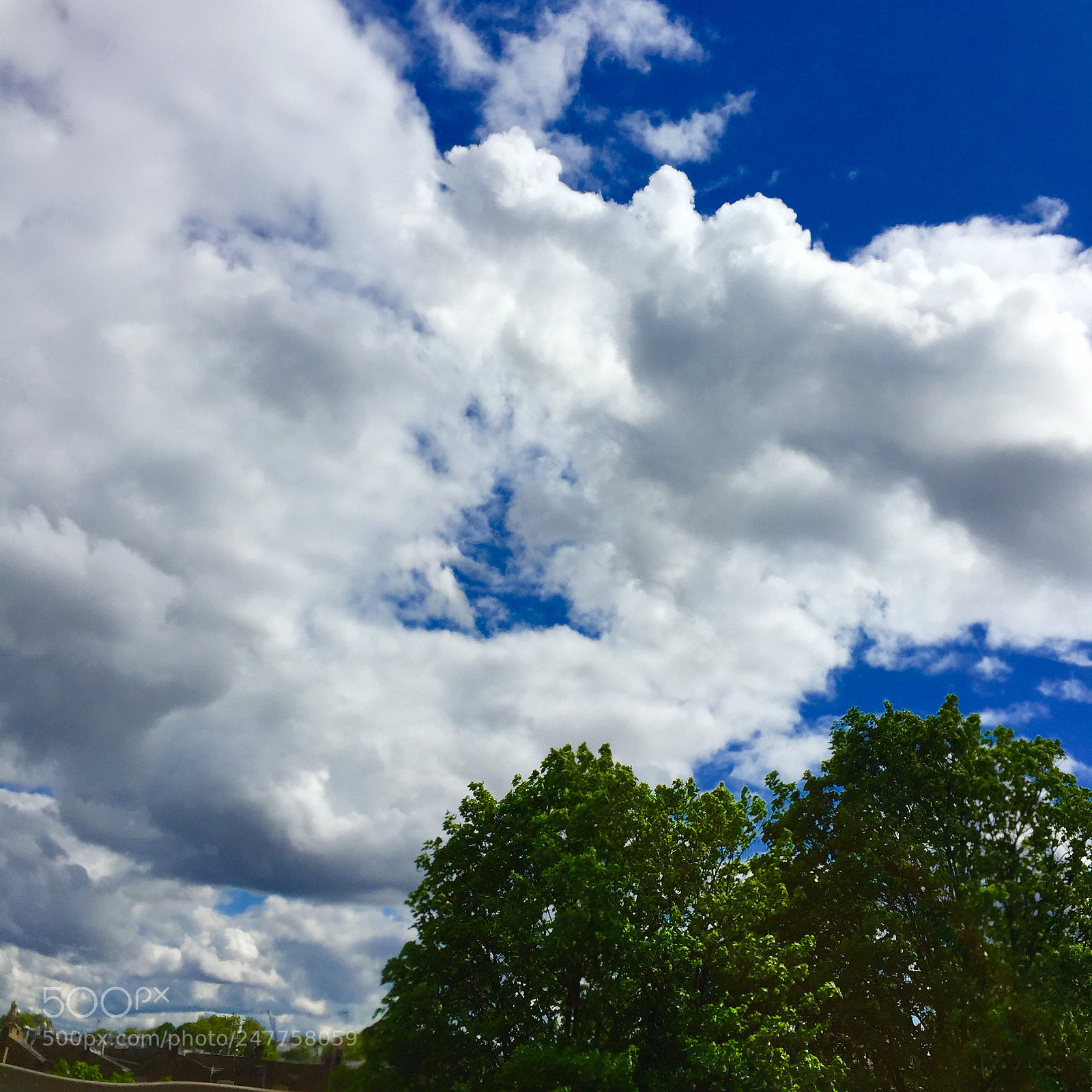 Apple iPhone 6 sample photo. Untitled photography