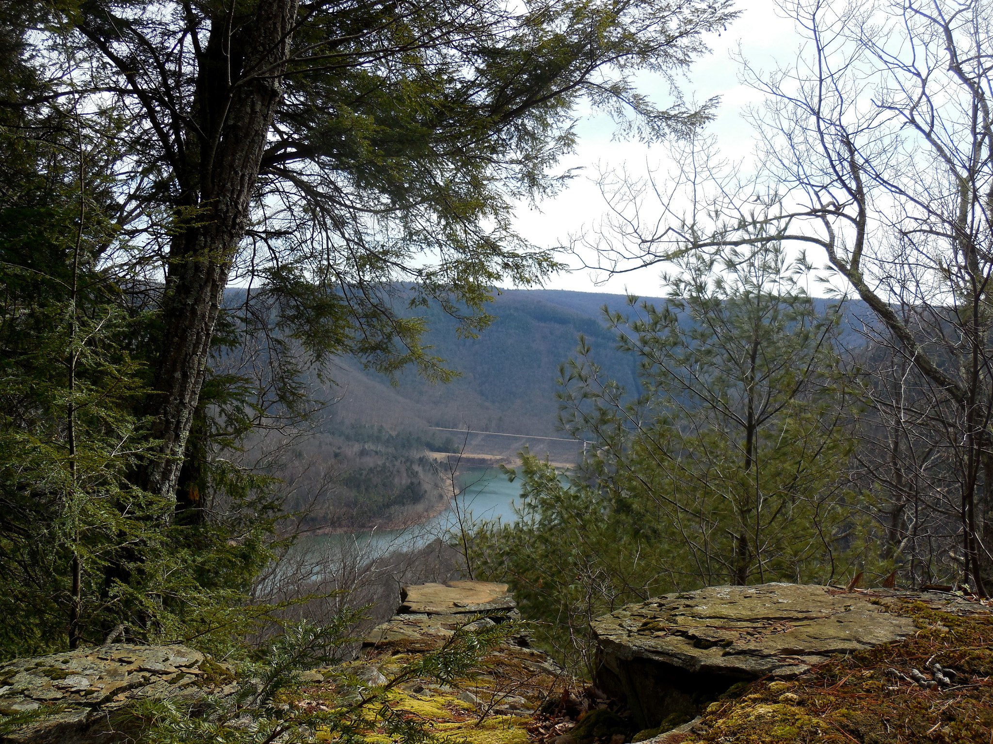 Nikon Coolpix S6500 sample photo. Sinnemahoning overlook photography