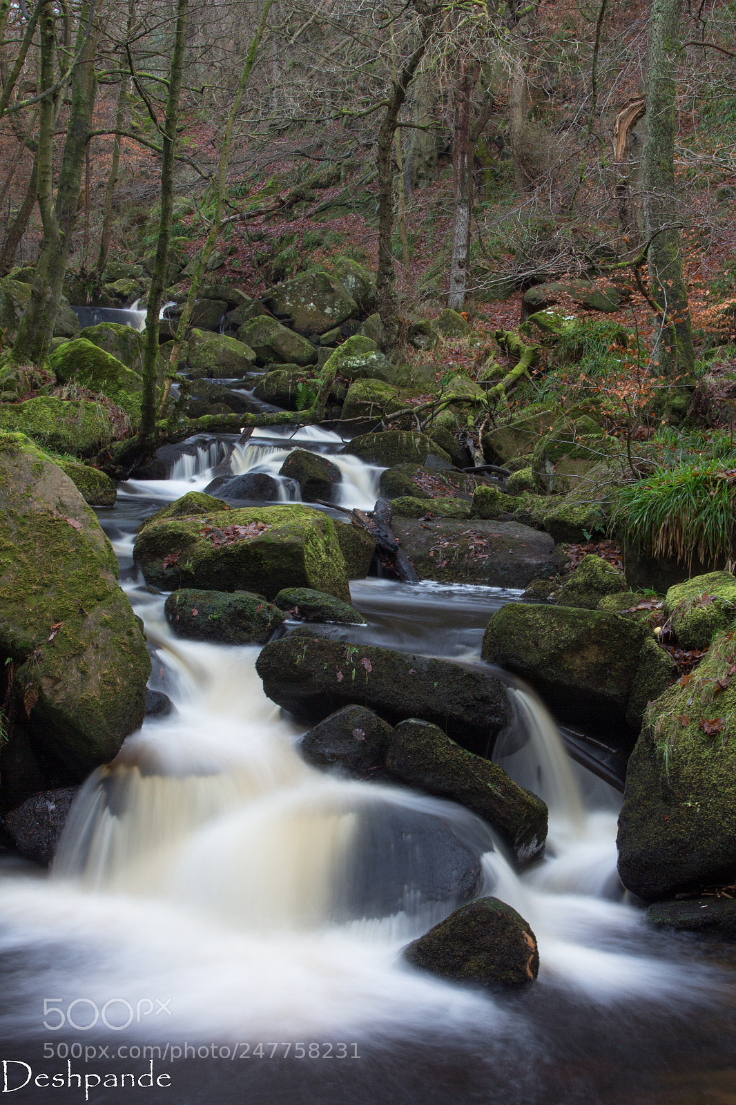 Canon EOS 60D sample photo. Peakdistrictram (of ) photography