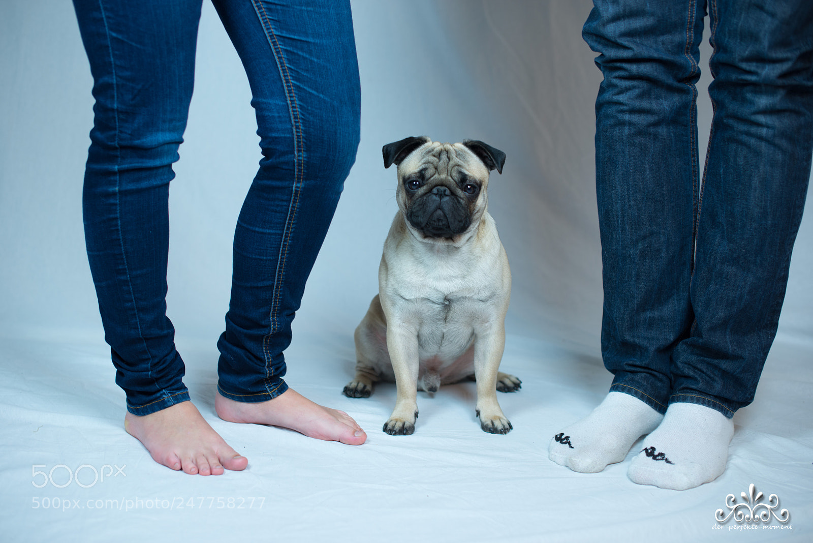 Nikon D800E sample photo. Little family photography