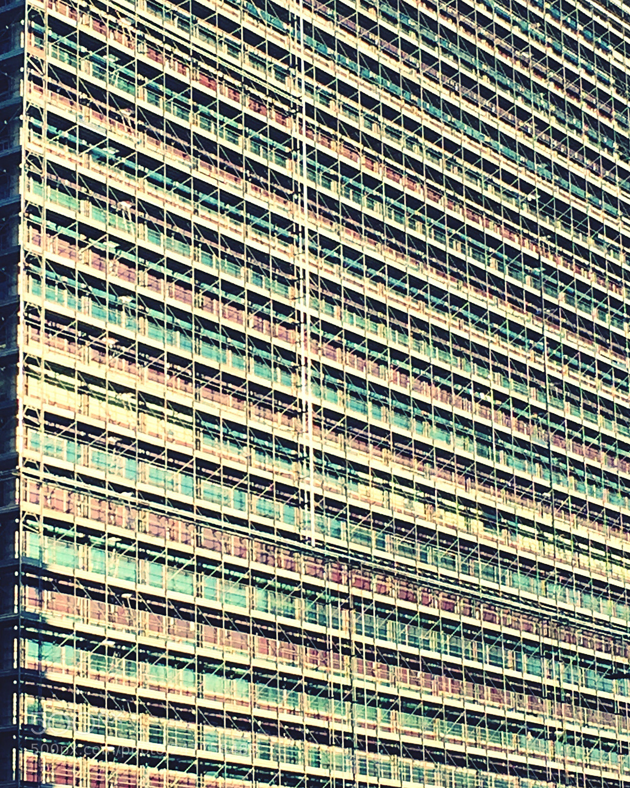 Apple iPhone 6 sample photo. Untitled photography