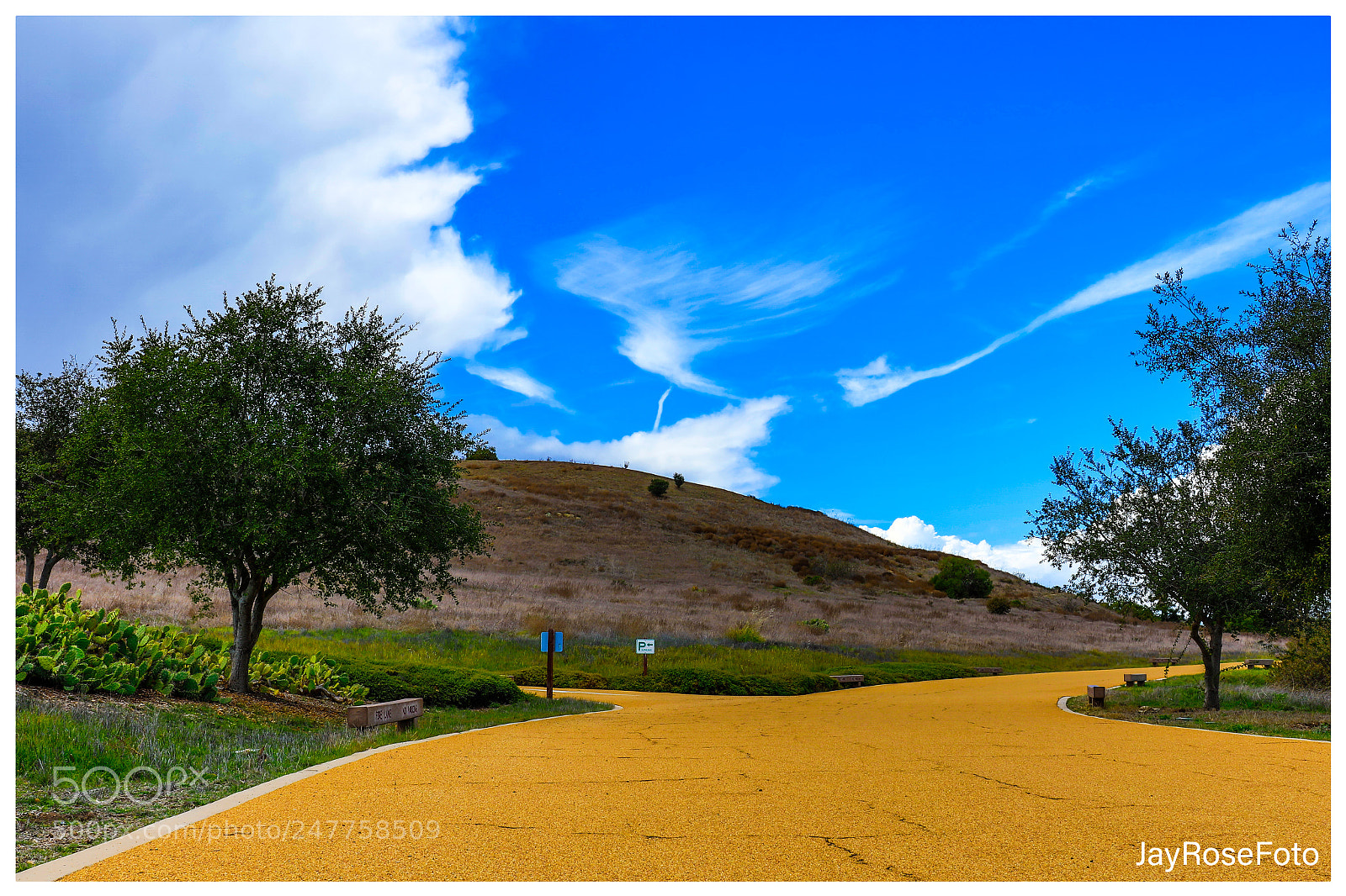 Canon EOS 5DS R sample photo. Untitled photography
